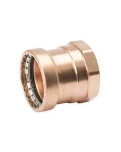 Mueller PF 01297 3" Press P X FPT Adapter