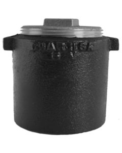 Service Weight Clean Out Ferrule with Plug 2" x 1 1/2"