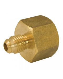 Brass Flare x Female Straight Adapter Iron Pipe 1/2"