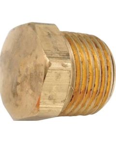 1 1/2" Brass Plug