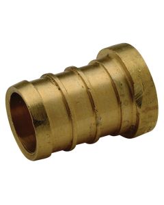 PEX Crimp Test Plug 1"