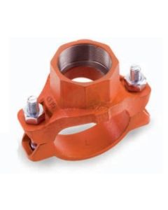 Grooved Mechanical Tee Threaded 2 1/2" x 2 1/2" x 1 1/2"